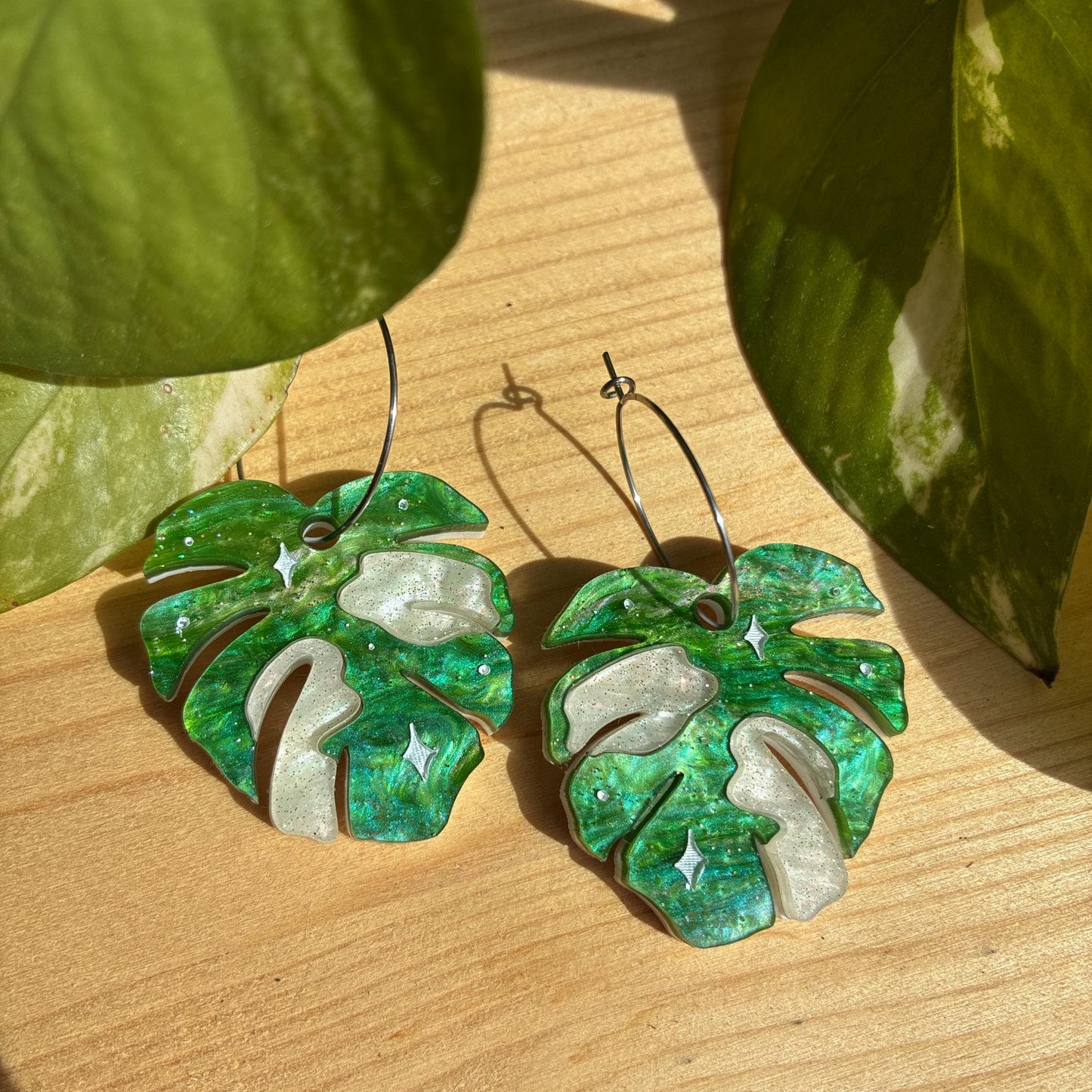 Hoja de Monstera