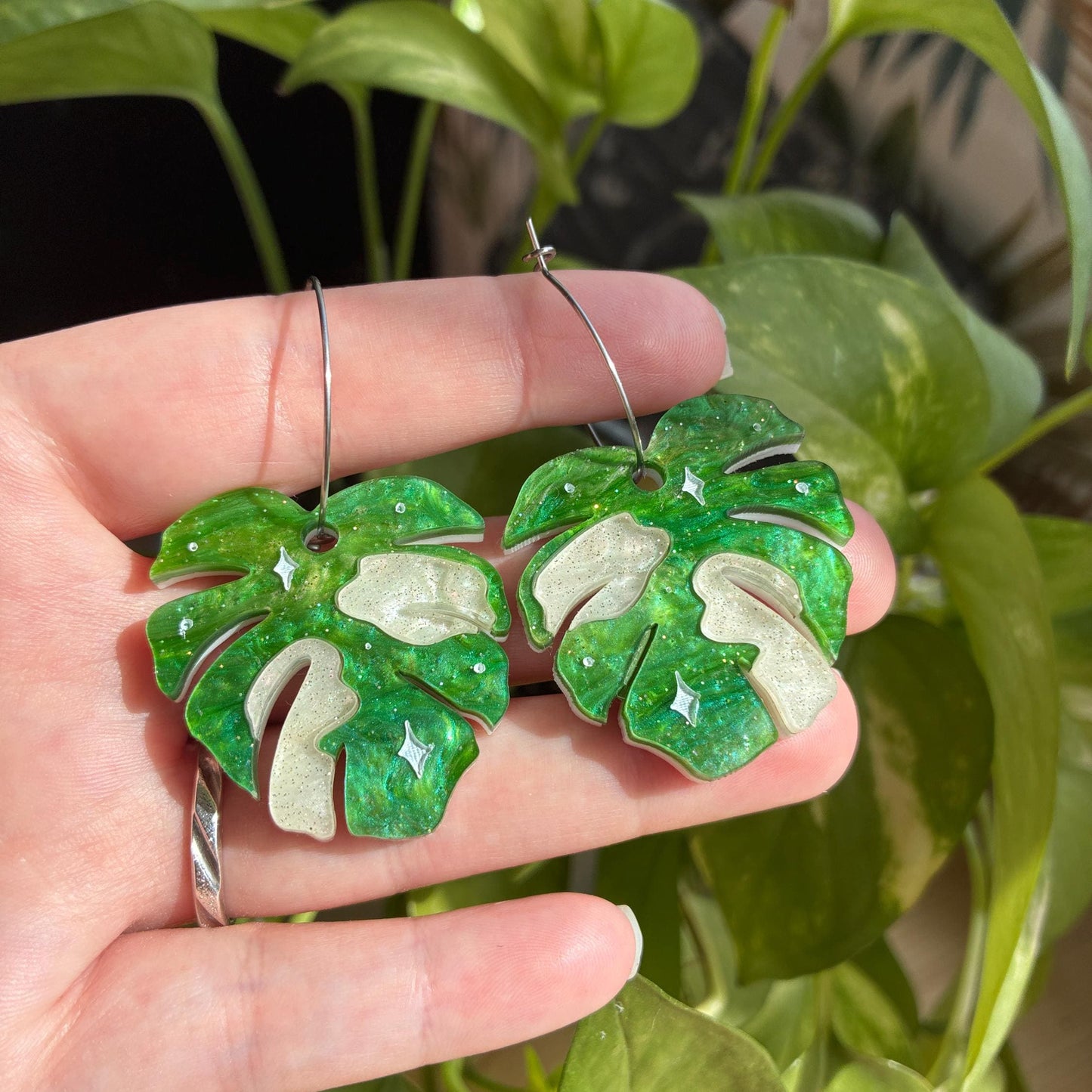 Hoja de Monstera