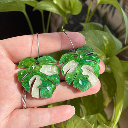 Hoja de Monstera