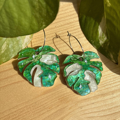 Hoja de Monstera