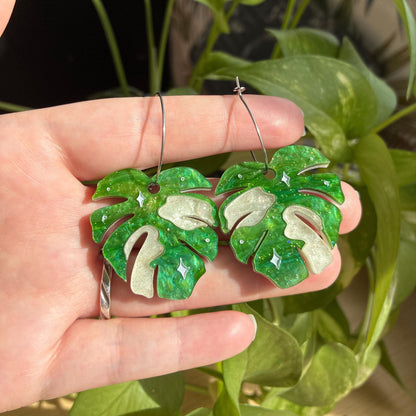 Hoja de Monstera