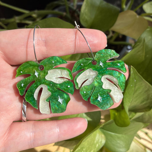 Hoja de Monstera