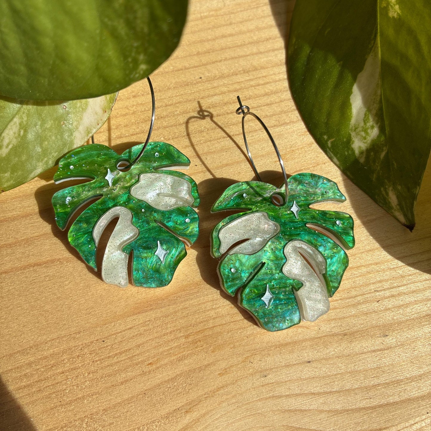 Hoja de Monstera