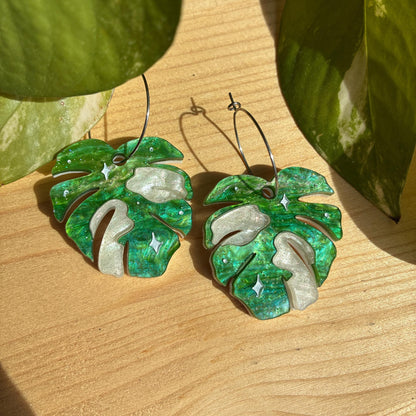Hoja de Monstera